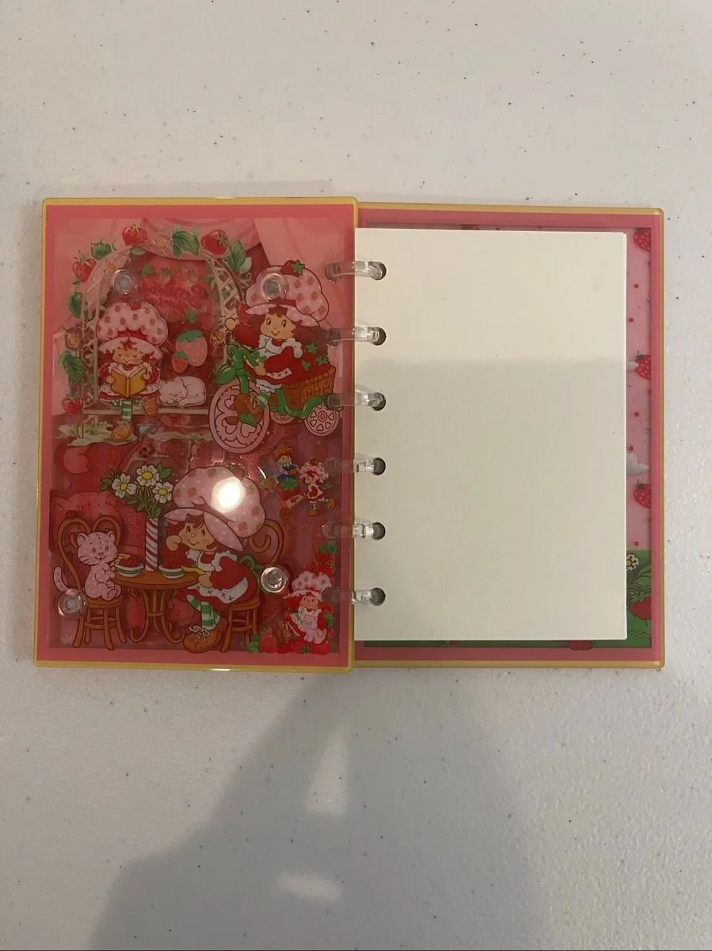 Strawberry Shortcake Acrylic Shaker Notebook